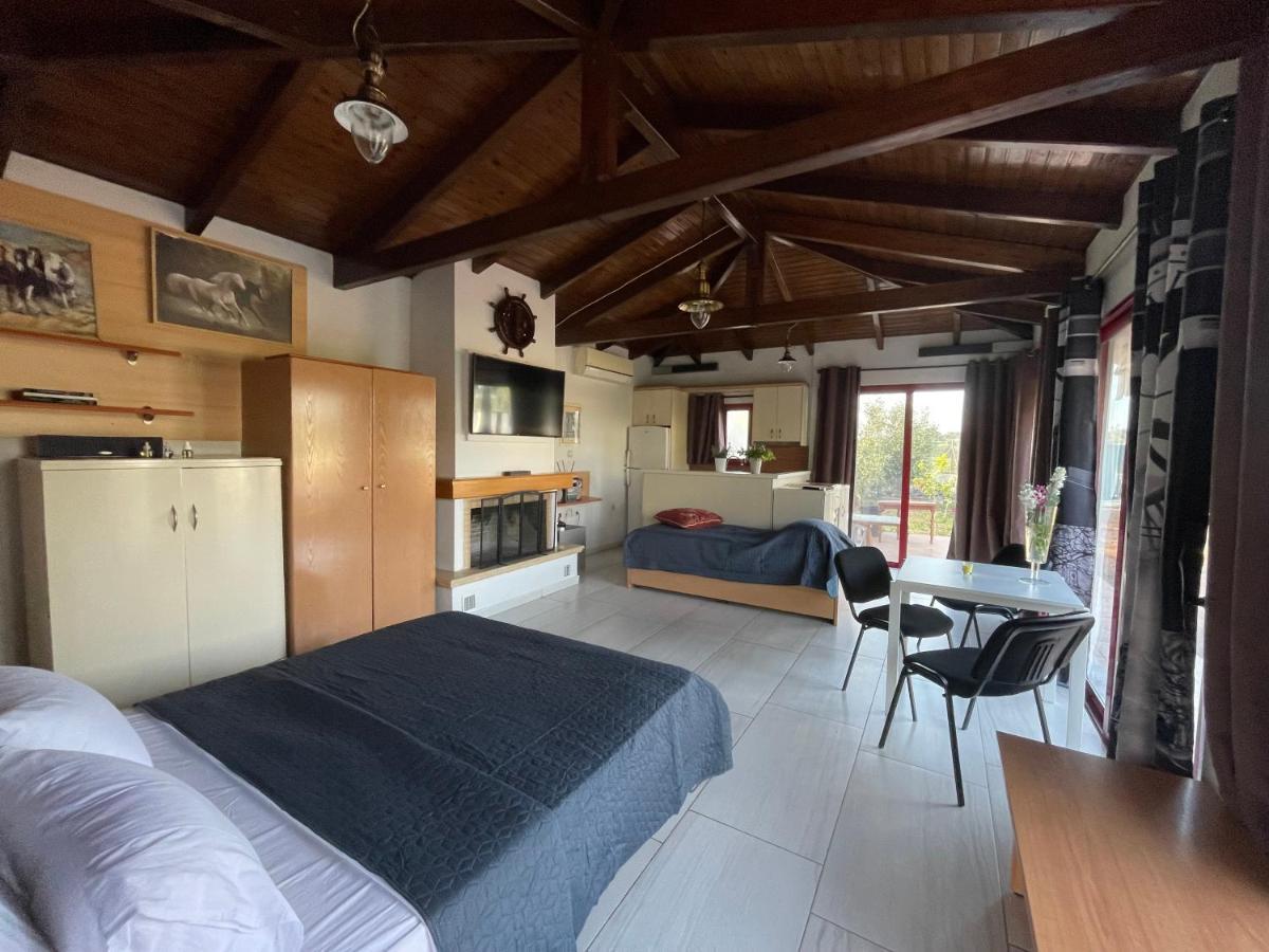 Country Lux Apartment Near Airport Markopoulo Mesogaias Exterior photo