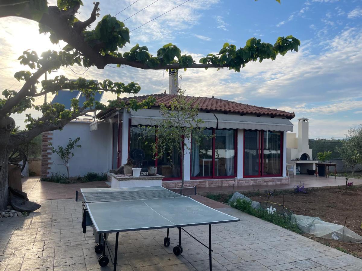 Country Lux Apartment Near Airport Markopoulo Mesogaias Exterior photo